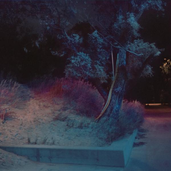 The Gentleman Losers Permanently Midnight Cover