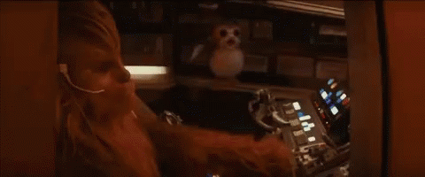 Hängengeblieben 2017 - Porg