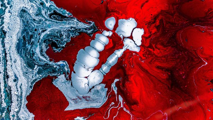 leseliste drogen psychedelisch