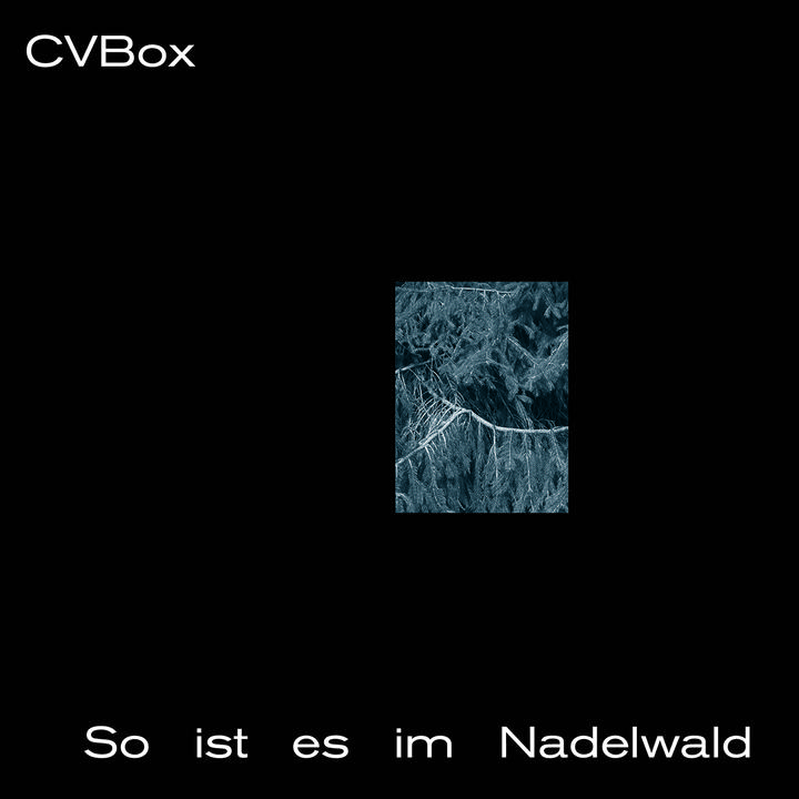 CVBox - So ist es im Nadelwald Artwork