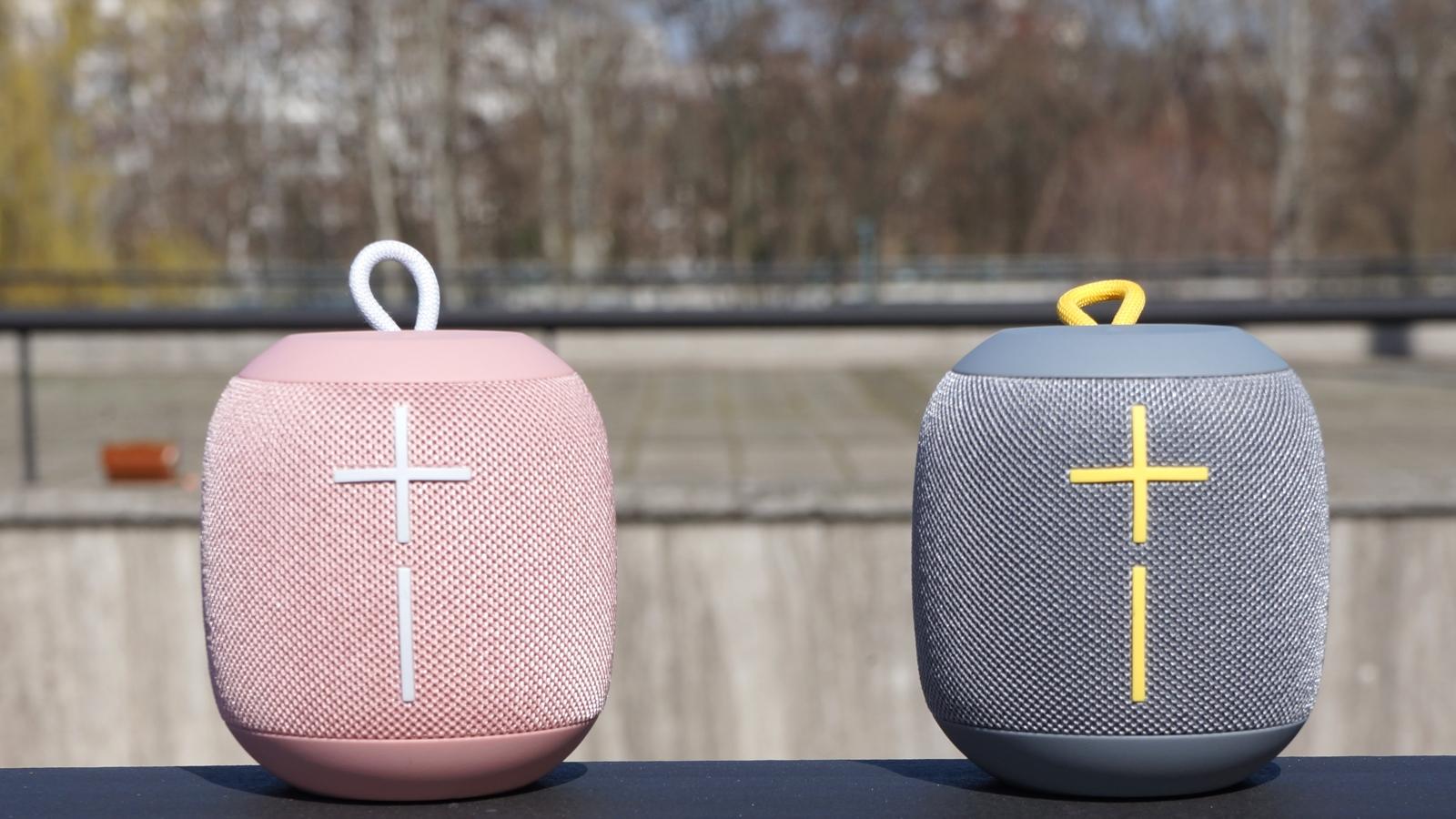 UE Wonderboom - lead - Artikel