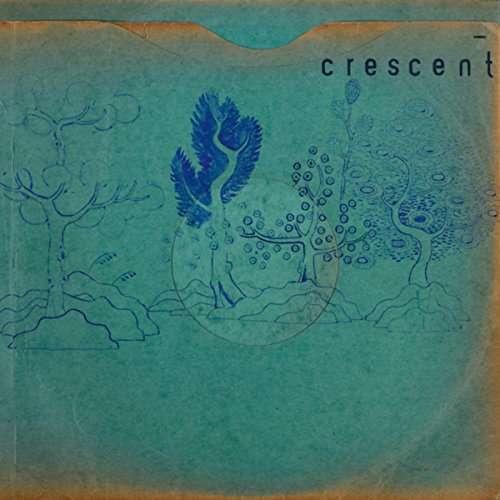 Crescent Resin Pockets Cover WW27052017
