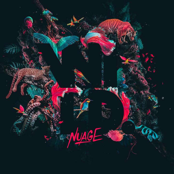 Nuage Wild Walkman Mai 2017