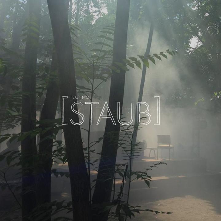 Staub 2015 Flyer