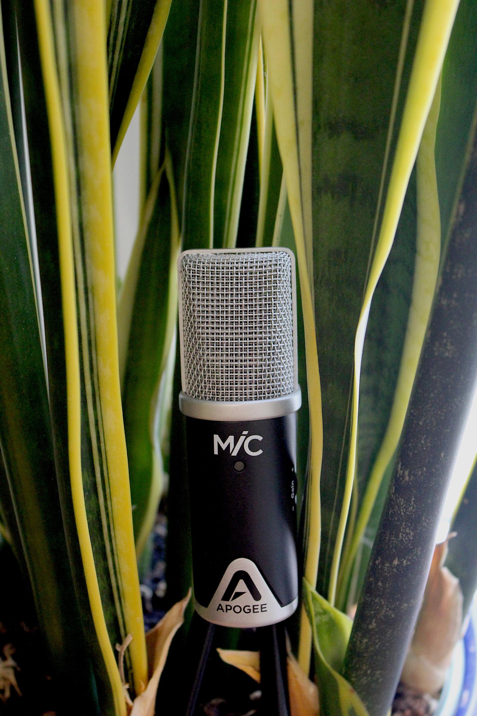 Apogee Mic Review 1