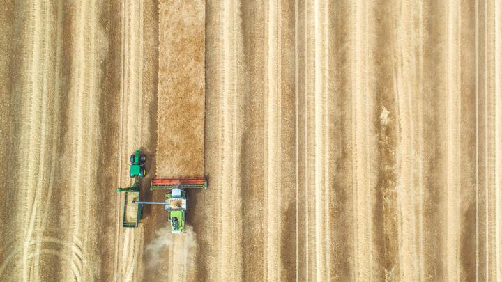 Leseliste 20170910 Niederlande Landwirtschaft