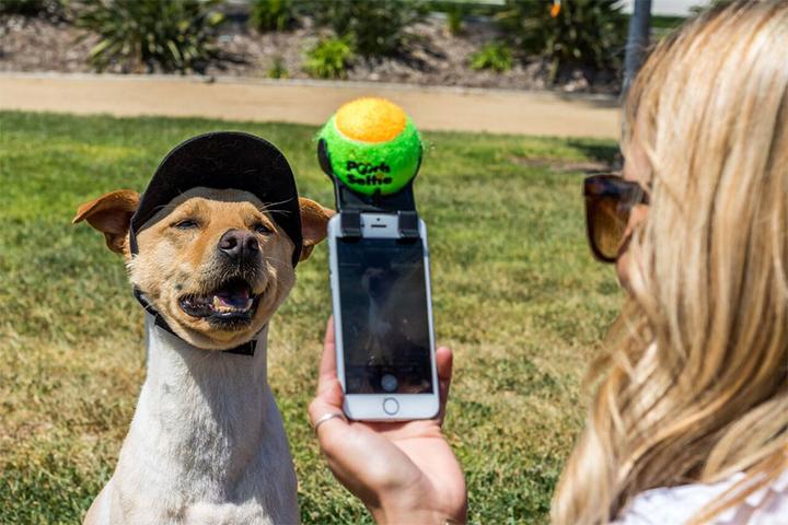 Pooch Selfie Schnapsideen