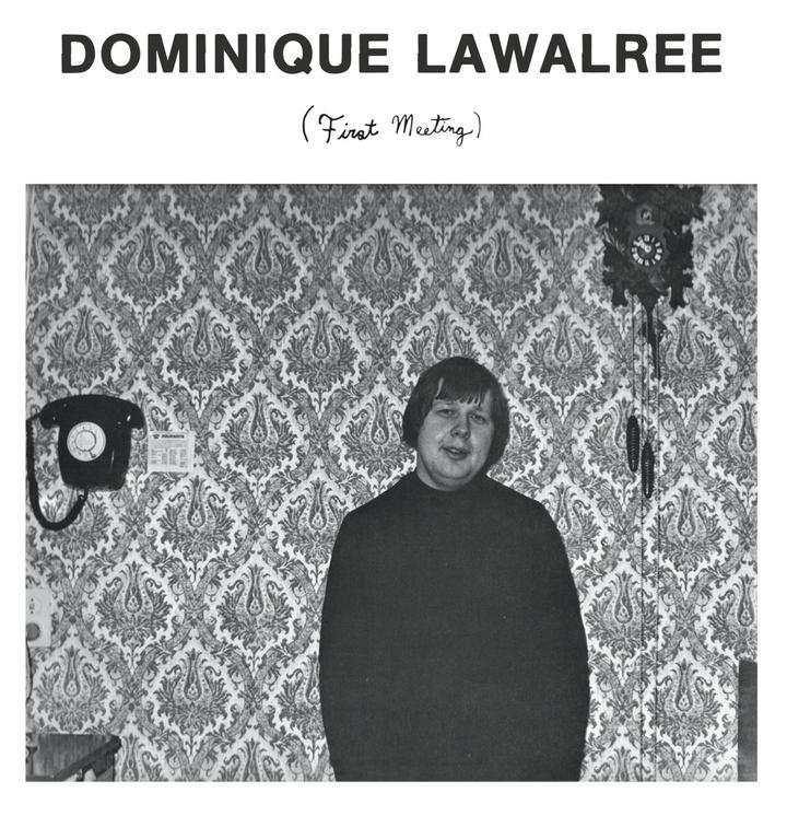 Dominique Lawalrée - Artwork