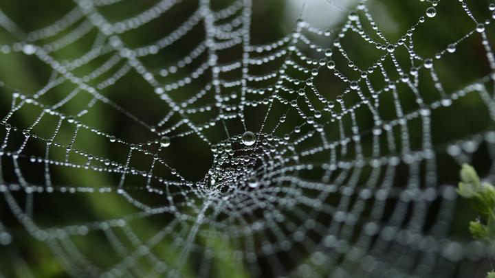 web