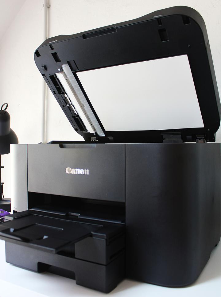 Canon Advertorial 1