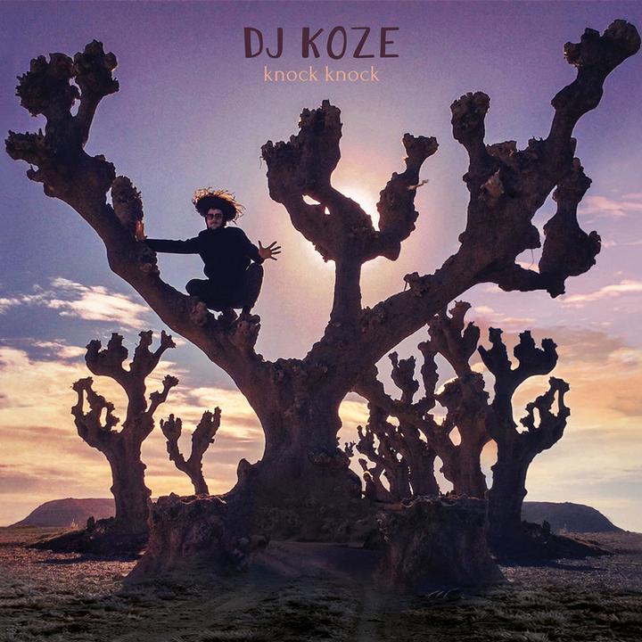 DJ Koze – Knock Knock Cover