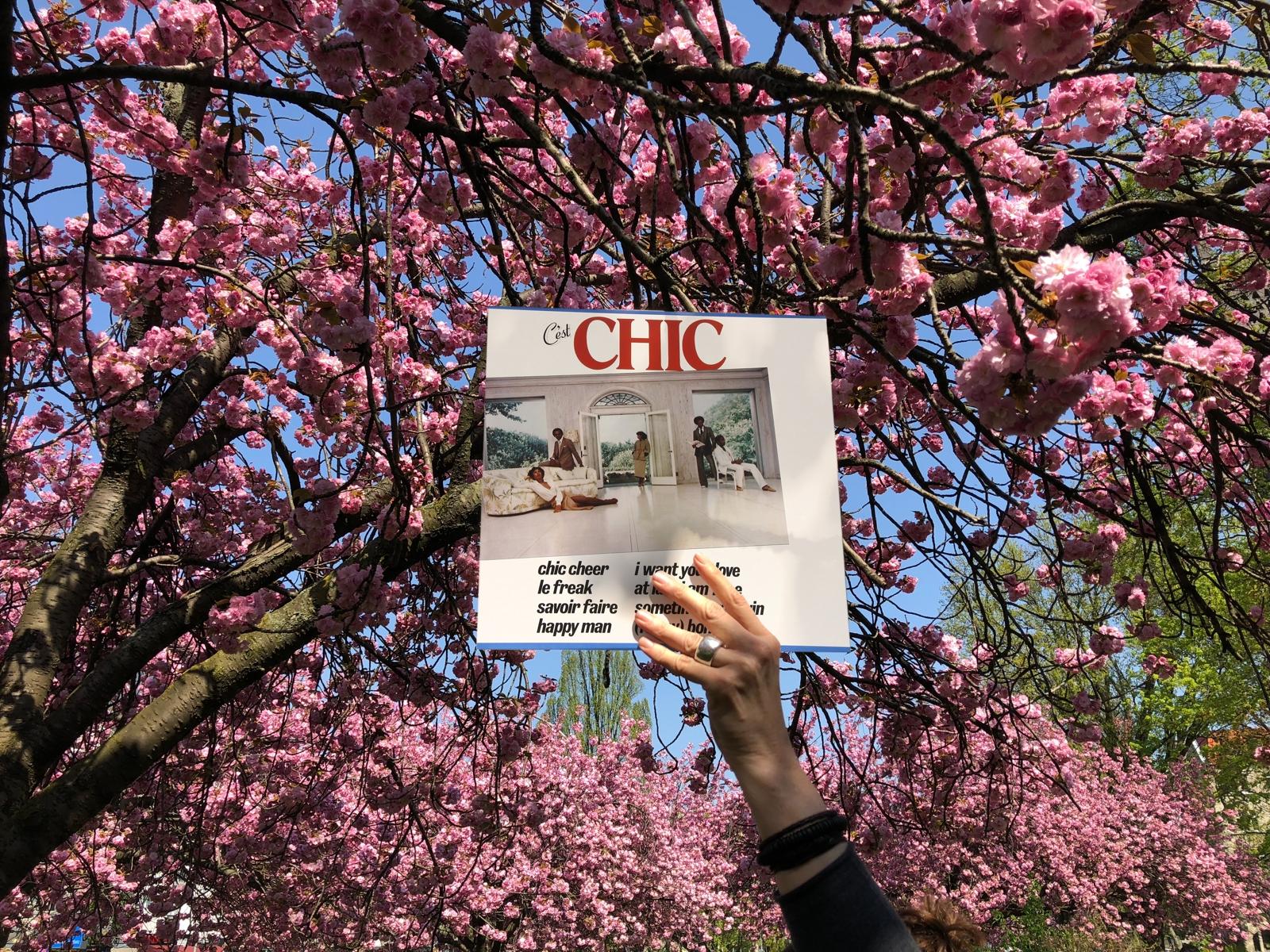Rewind-Chic-lede-full