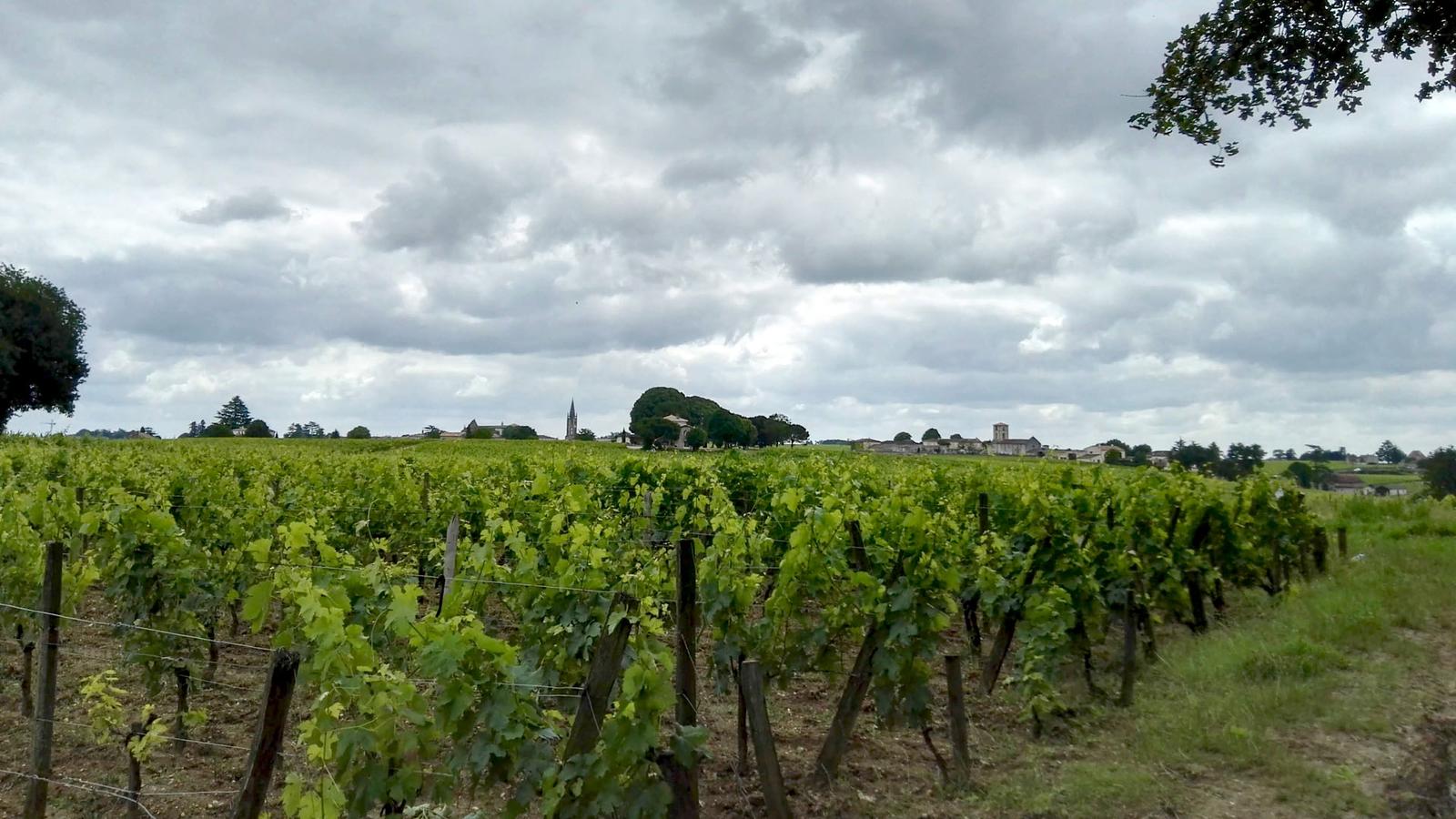 Saint Emilion