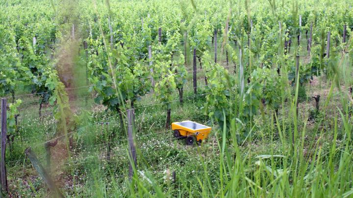 chateau coutet solarmaeher bea