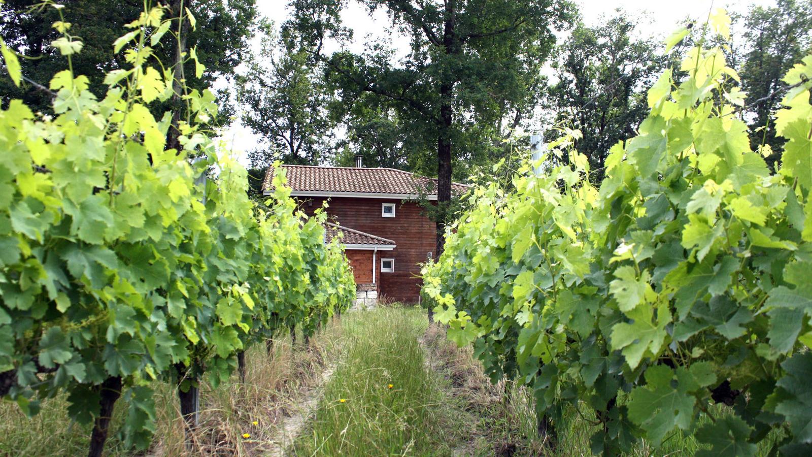 domaine emile grelier bea