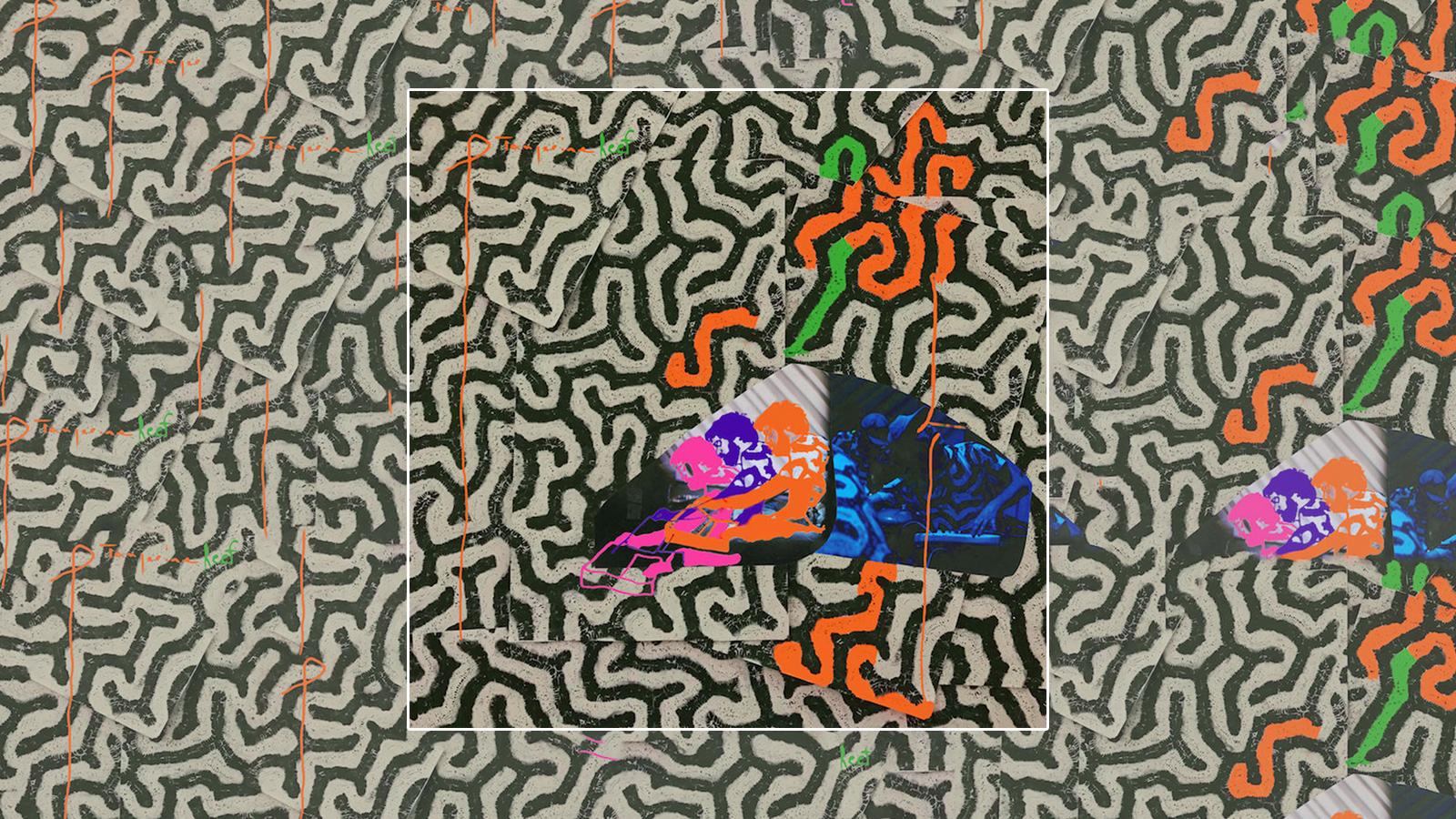 RT-Animal Collective-Tangerine Reef