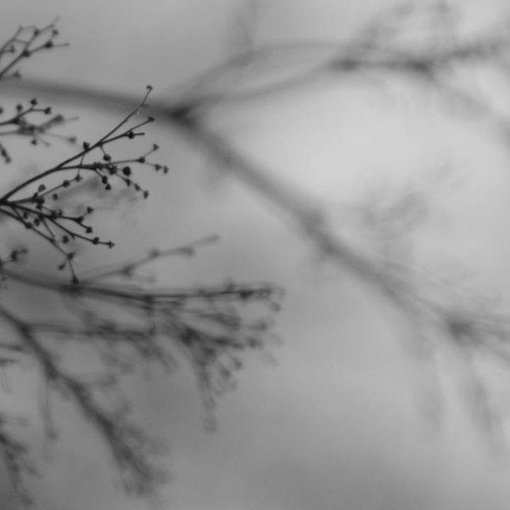 Dakota Suite, Dag Rosenqvist, Emanuele Errante – What Matters Most Cover