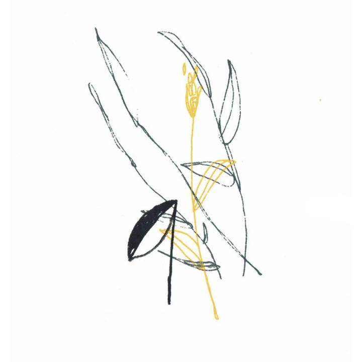 WW-05012019-Pioulard-Cover