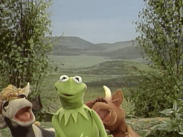 WWalkman-19102019-lede-gif