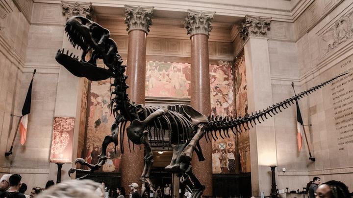 Dinosaurier LL31032019