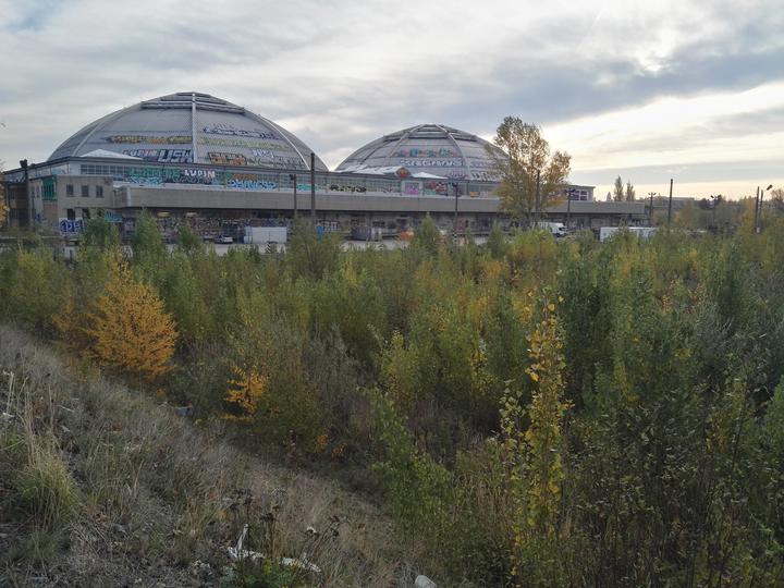 IfZ Leipzig