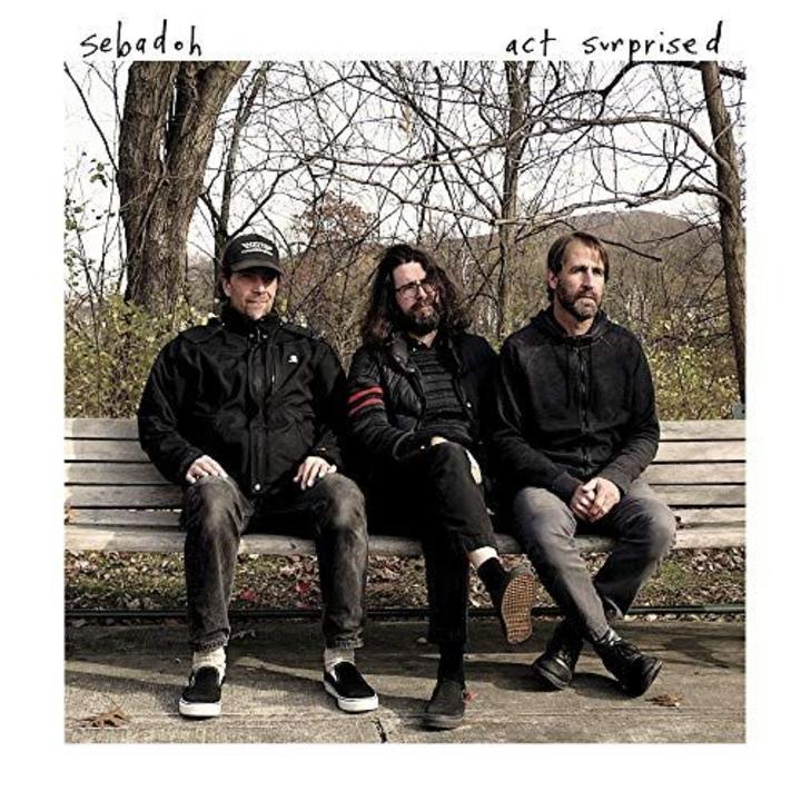 Sebadoh Act Surprised Cover