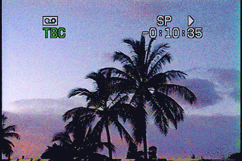 WWalkman-03082019-lede-gif
