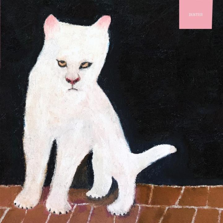 duster album cover 2019
