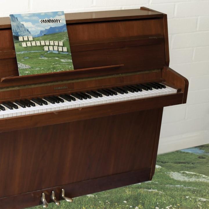 Grandaddy – The Sophtware Slump ….. on an wooden piano cover