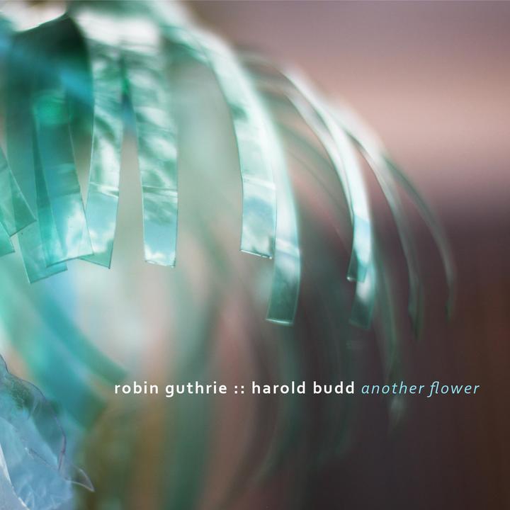 Robin Guthrie & Harold Budd – Another Flower Artwork