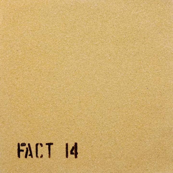 The Durutti Column - WW18122020