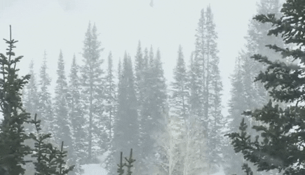 WWalkman-18122020-lede-gif