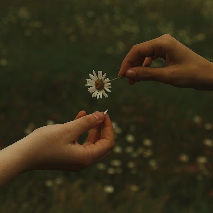 Goldmund The Time It Takes cover