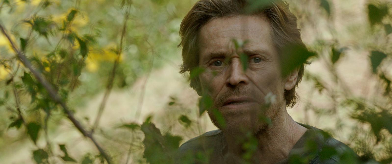 Dafoe
