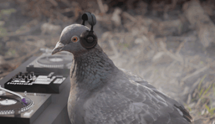 WWalkman-29022020-lede-gif
