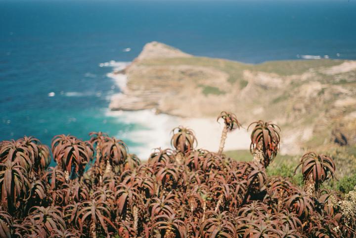 Water Works 4 Cape Point 02