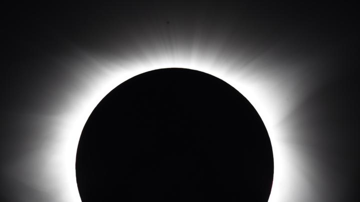 corona