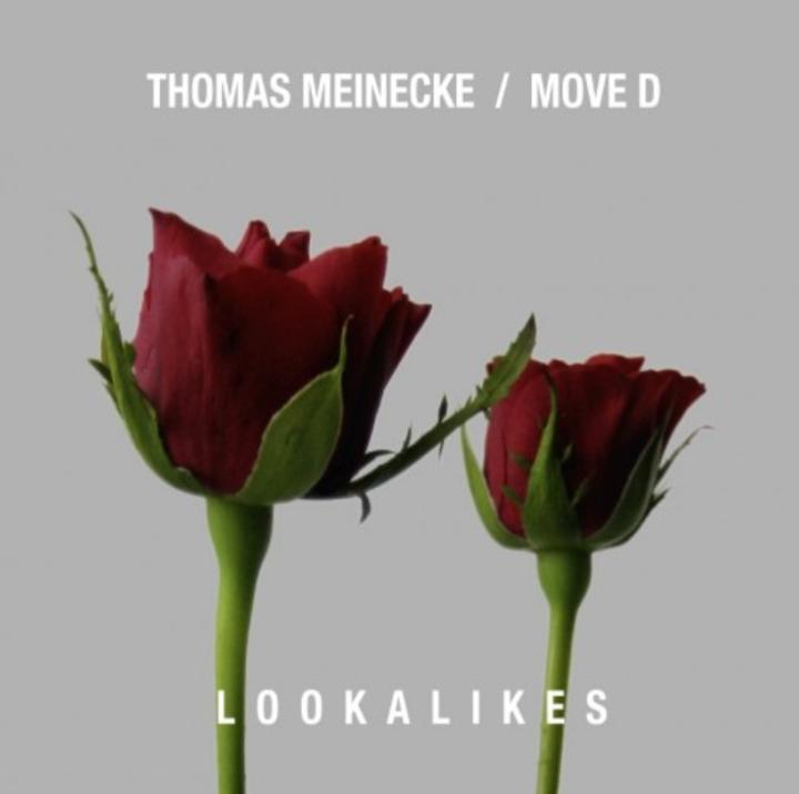 thomas meinecke move d lookalikes