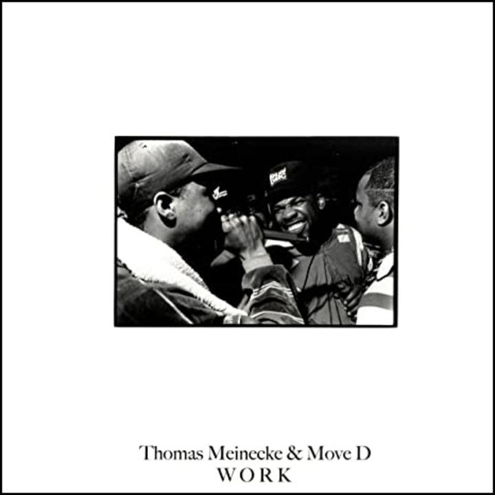 thomas meinecke move d work