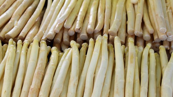 streik spargel ritter bornheim