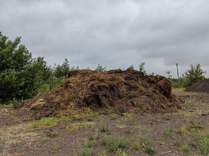 Dung