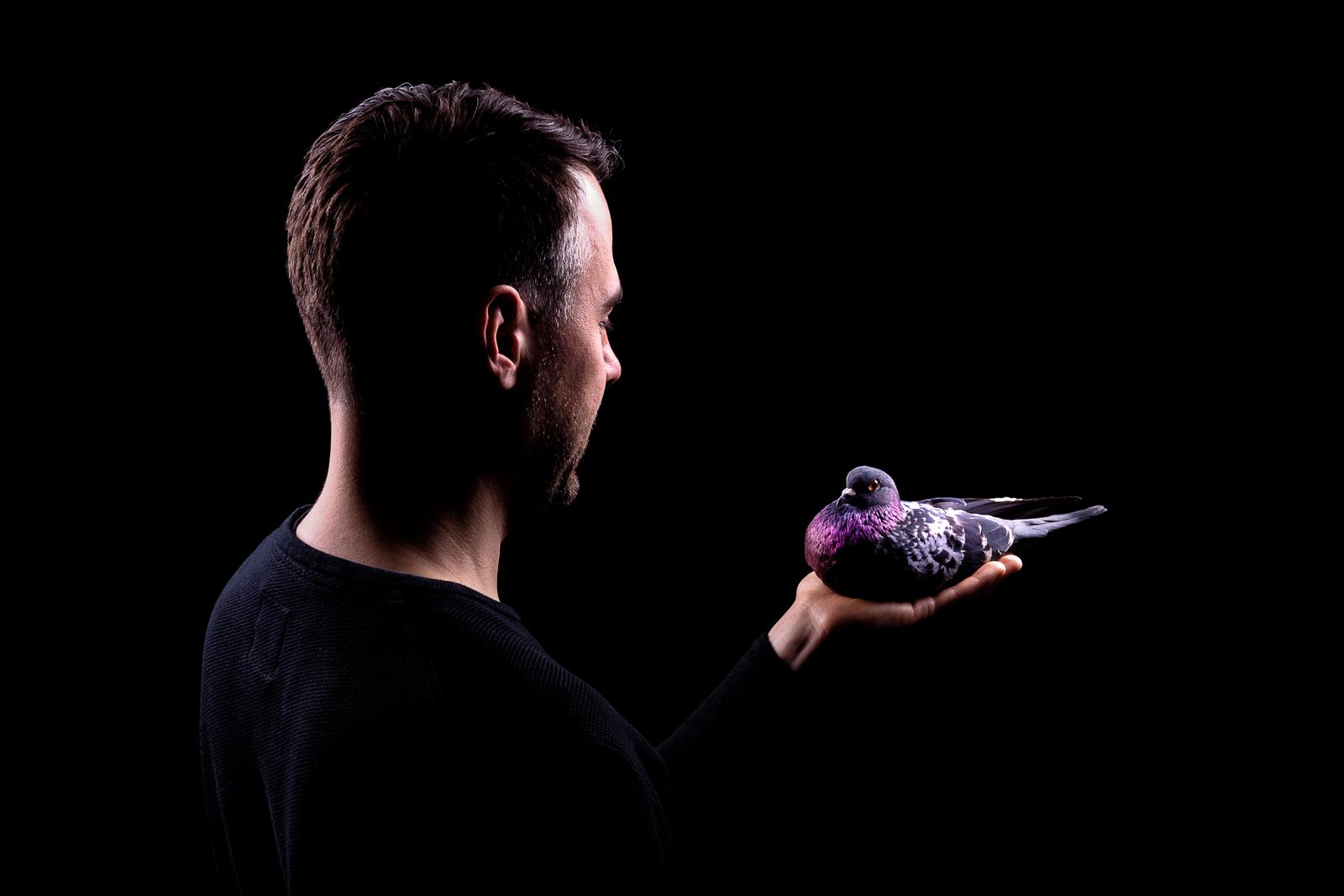 Stimming Press Photo 3 by Randy Rocket