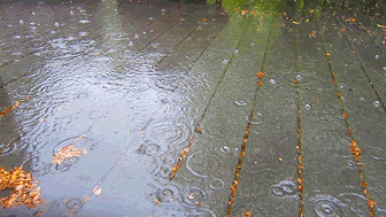 WWalkman05112021-banner