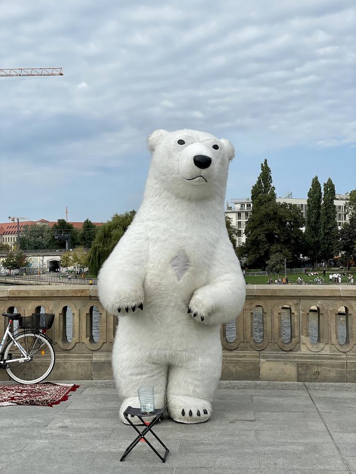 Hängengeblieben 2021 Eisbär in Berlin Mitte