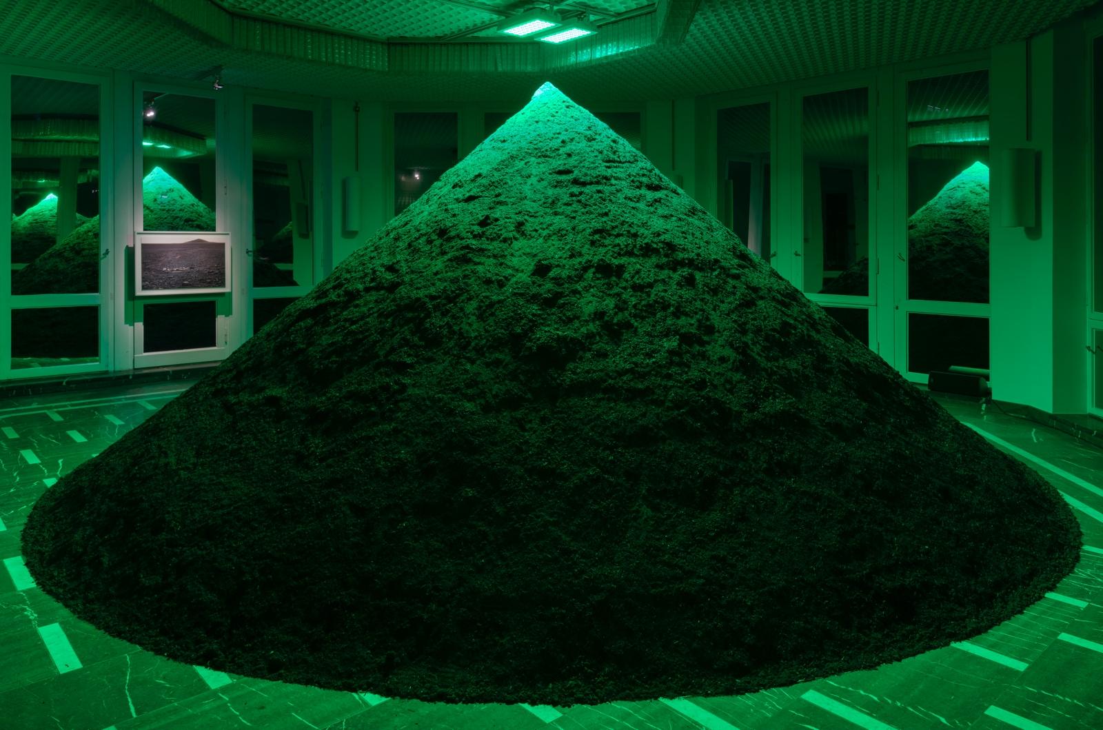 Infection von Pamela Rosenkranz im Schinkel Pavillon Berlin in voller Goresse