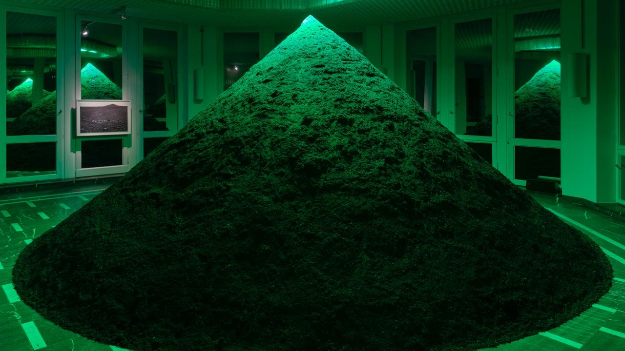 Infection von Pamela Rosenkranz im Schinkel Pavillon Berlin