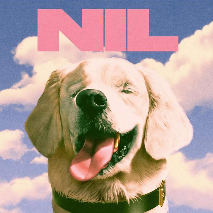 The Dirty Nil Fuck Art Cover