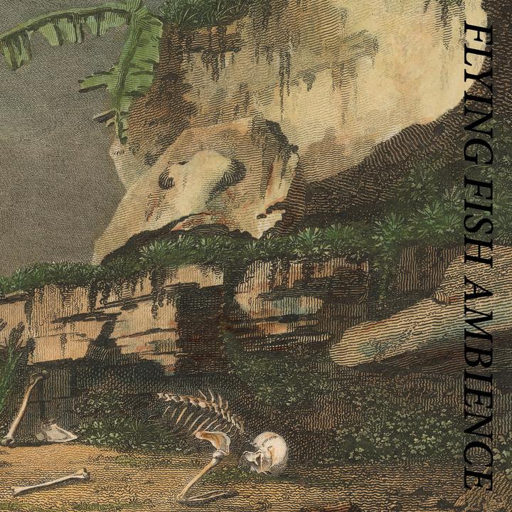 WWalkman-28052021-Rainforest Spiritual Enslavement