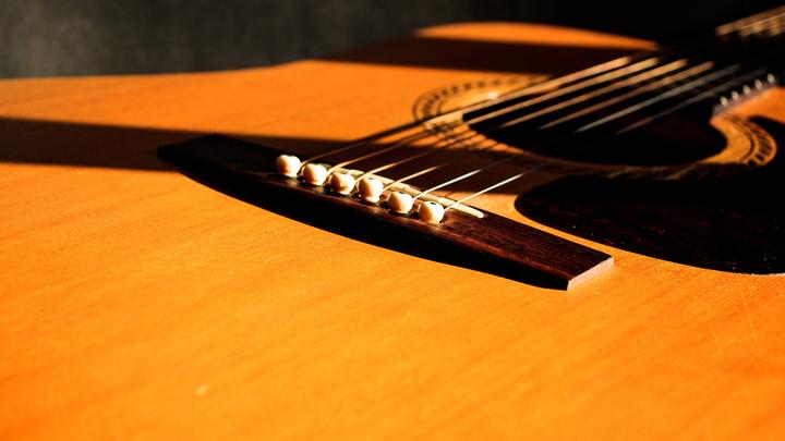 LL-26062021-Gitarre-Umweltschutz