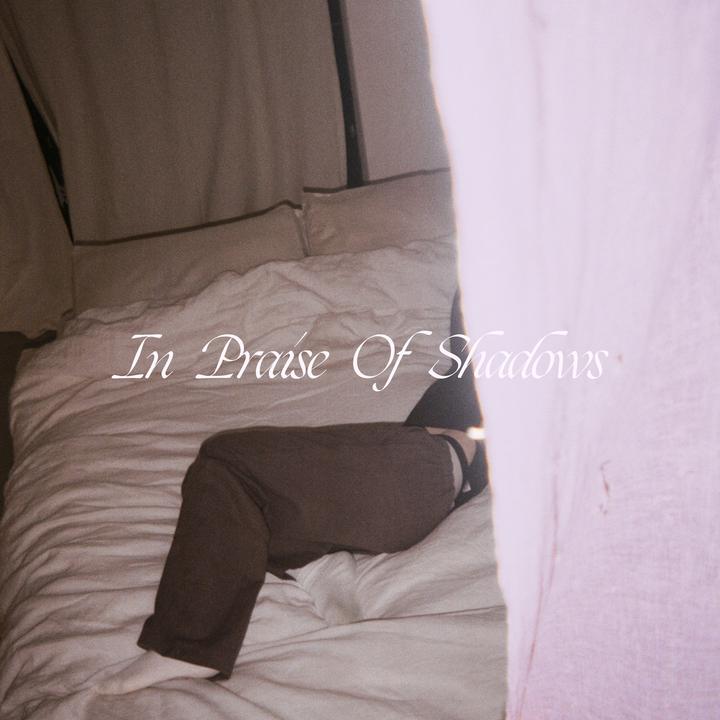 Puma Blue In Praise of Shadows Cover